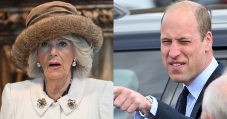 Skąd rodzina królewska ma miliony na wystawne życie? Niektórzy z royalsów poszli do "normalnej" pracy. Wiadomo, ile zarabiają