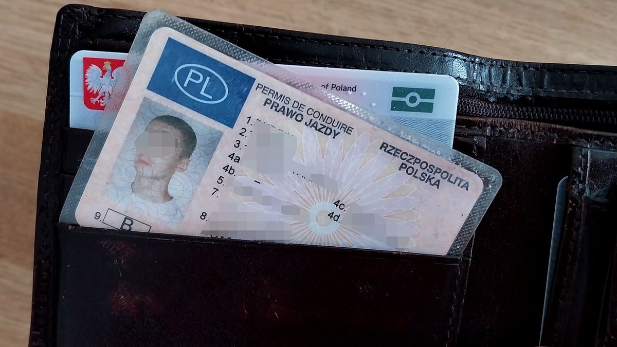 Nie każdy musi mieć prawo jazdy. Każdy powinien znać choćby podstawowe przepisy