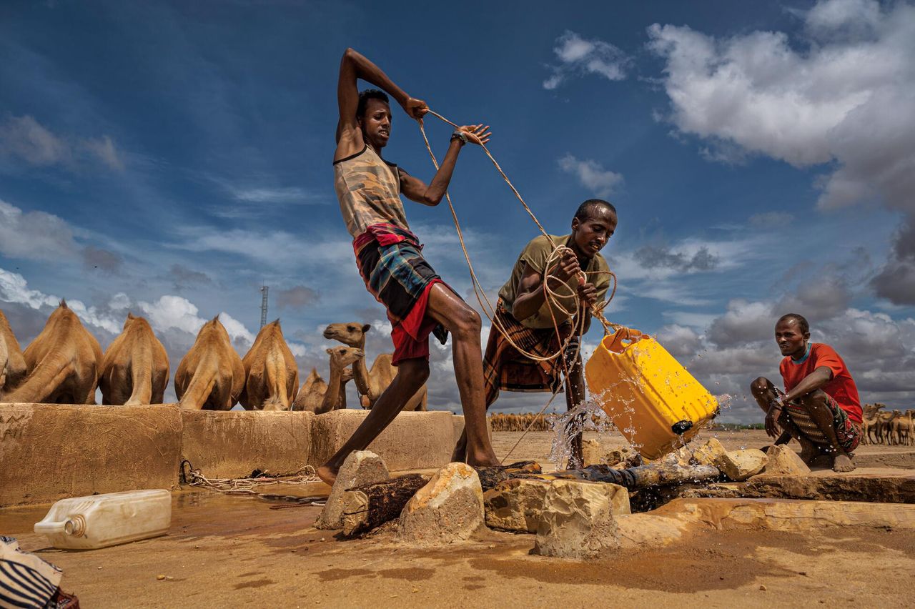12.05.2021 r., Bulaleh, Etiopia. Poganiacze wielbłądów szli 12 dni w poszukiwaniu wody. Po powrocie napoili zwierzęta wodą z przydomowej studni. Opady deszczy w Etiopii w 2021 roku były wyjątkowo skąpe.