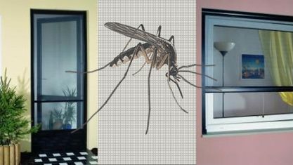 Moskitiery wracają do łask 1