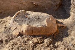 Zaskakujące odkrycie w Pompejach. "Nie udało mu się znaleźć schronienia"