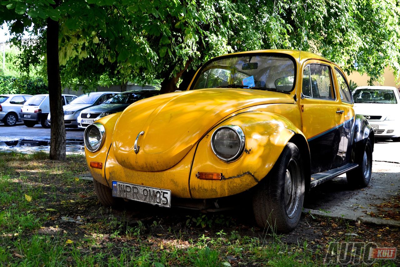 O ulicznych spostrzeżeniach i pomysłach na gry motoryzacyjne