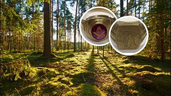 Złote pierścionki zakopane w lesie. Niemiecka policja szuka tropu