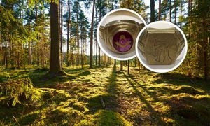 Złote pierścionki zakopane w lesie. Niemiecka policja szuka tropu