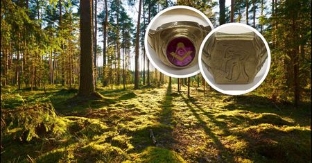 Złote pierścionki zakopane w lesie. Niemiecka policja szuka tropu
