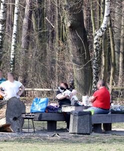 Jak uniknąć mandatu w majówkę. Wszystko, co trzeba wiedzieć o grillowaniu