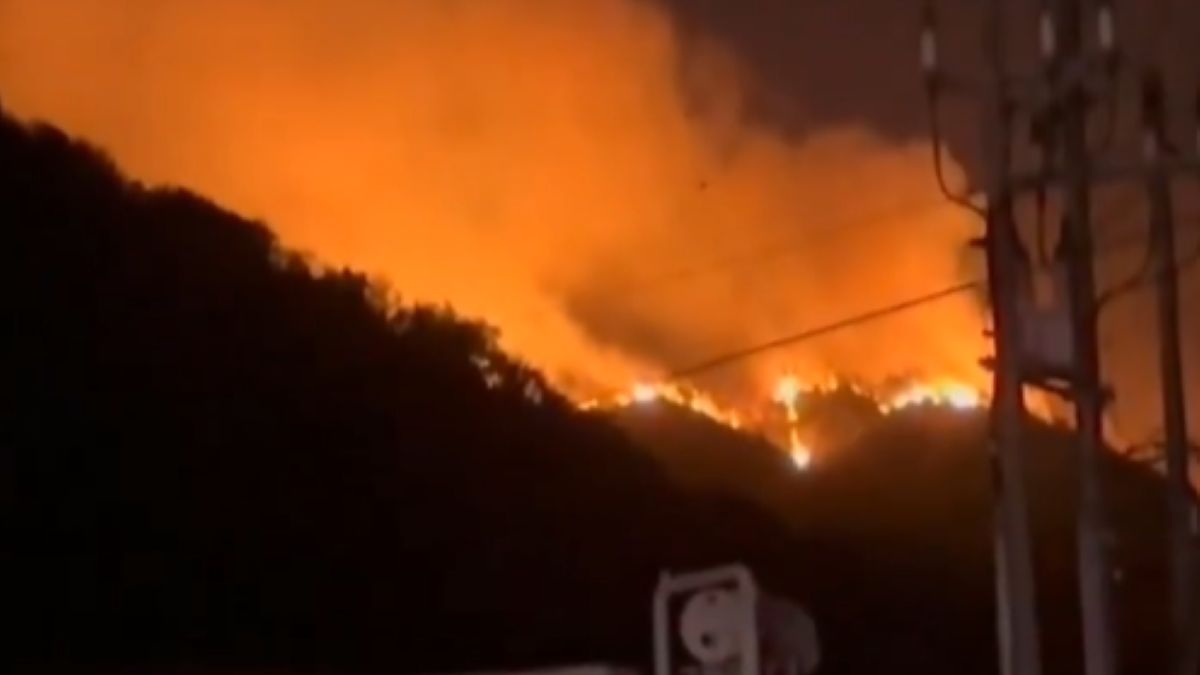 Pożary w Japonii. 600 hektarów lasów w ogniu