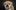 417833917237516146