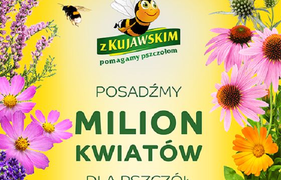 Startuje 9. edycja programu "Z Kujawskim pomagamy pszczołom"