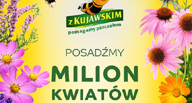 Startuje 9. edycja programu "Z Kujawskim pomagamy pszczołom"