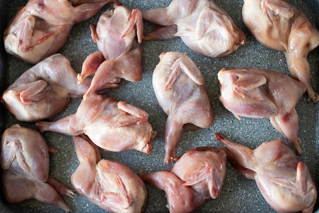 To mięso polecane jest anemikom i pracującym fizycznie. Smakuje 1000x lepiej niż kurczak