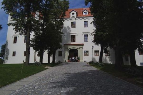 Obraz