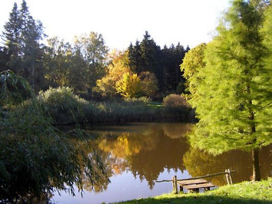 Obraz