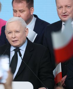 Wyborcze losy kryptoPiS-owców. Udało się odnieść sukces po schowaniu znaku partii?