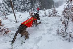 Karkonosze. GOPR wciąż szuka Czorta. Nagroda za pomoc w poszukiwaniach