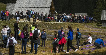 Turyści w Tatrach z masą dolegliwości. "Nie pijemy wody z potoków"