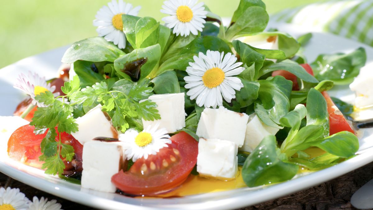 Sałatka ze stokrotkami - Pyszności