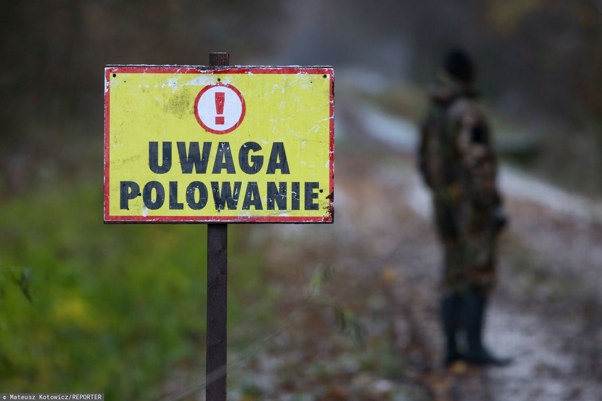 myśliwy, wypadek, polowanie, policja Szykowali się na polowanie. Padł strzał. 29-latek nie żyje