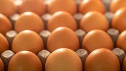 GIS pilnie wycofuje. Ostrzegają przed groźną bakterią