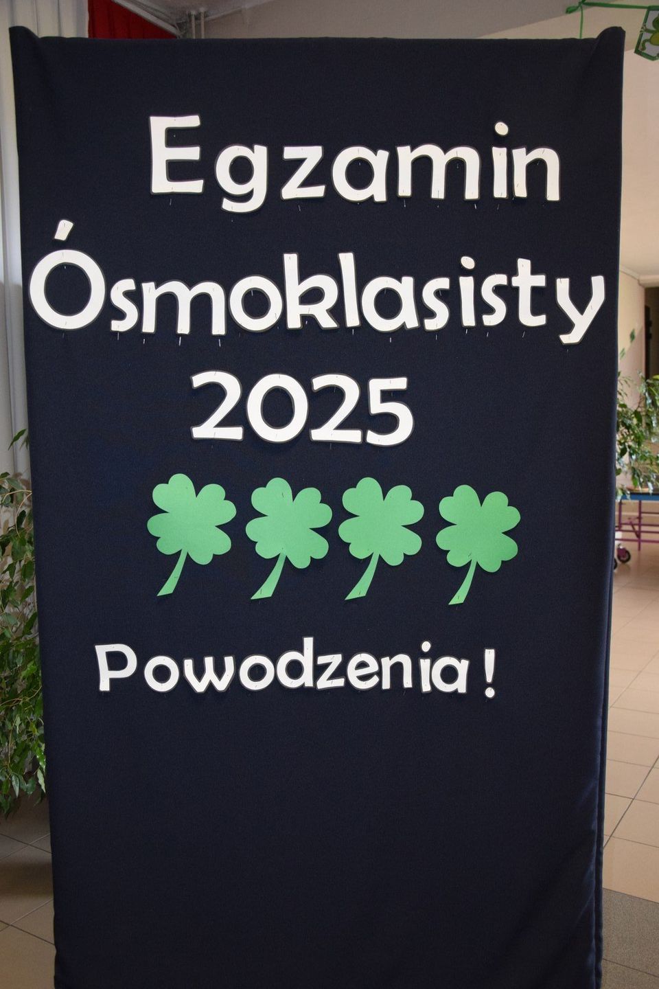 Wirtualna Polska