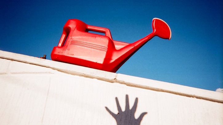 Zdjęcia uliczne wykonane przez bezdomnych trafią do kalendarza 1