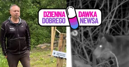 Jest sposób na niedźwiedzie. "Od tego momentu mamy spokój"