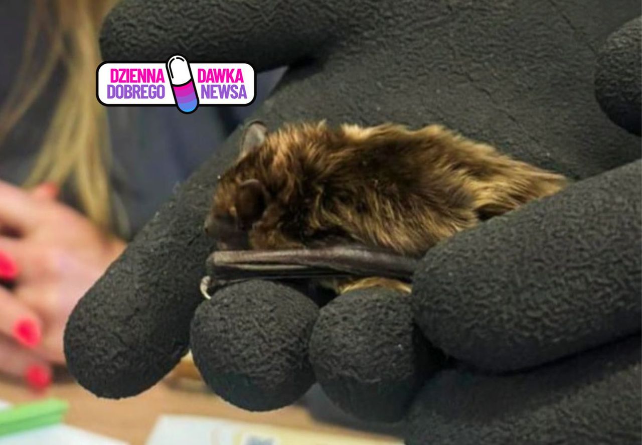 "Wpadł na klatkę, co robić?" Zjechali z całej Polski. Fascynujące