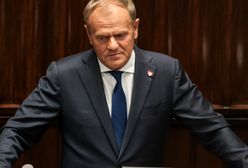 Tusk uszczypliwie o Nawrockim. "Dajmy mu trochę czasu"