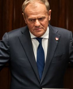 Tusk uszczypliwie o Nawrockim. "Dajmy mu trochę czasu"