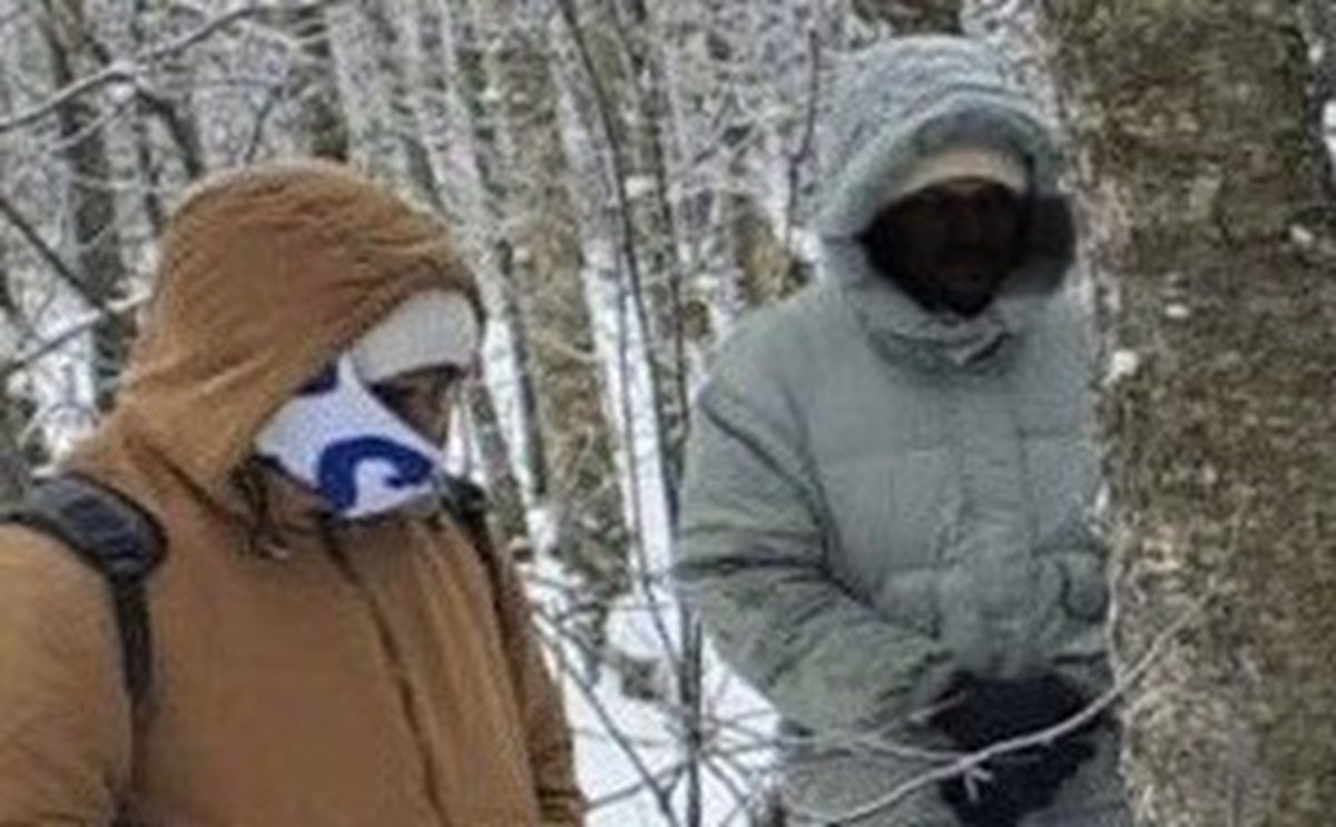 Ujawnili 12 migrantów. Kurier z Ukrainy zatrzymany