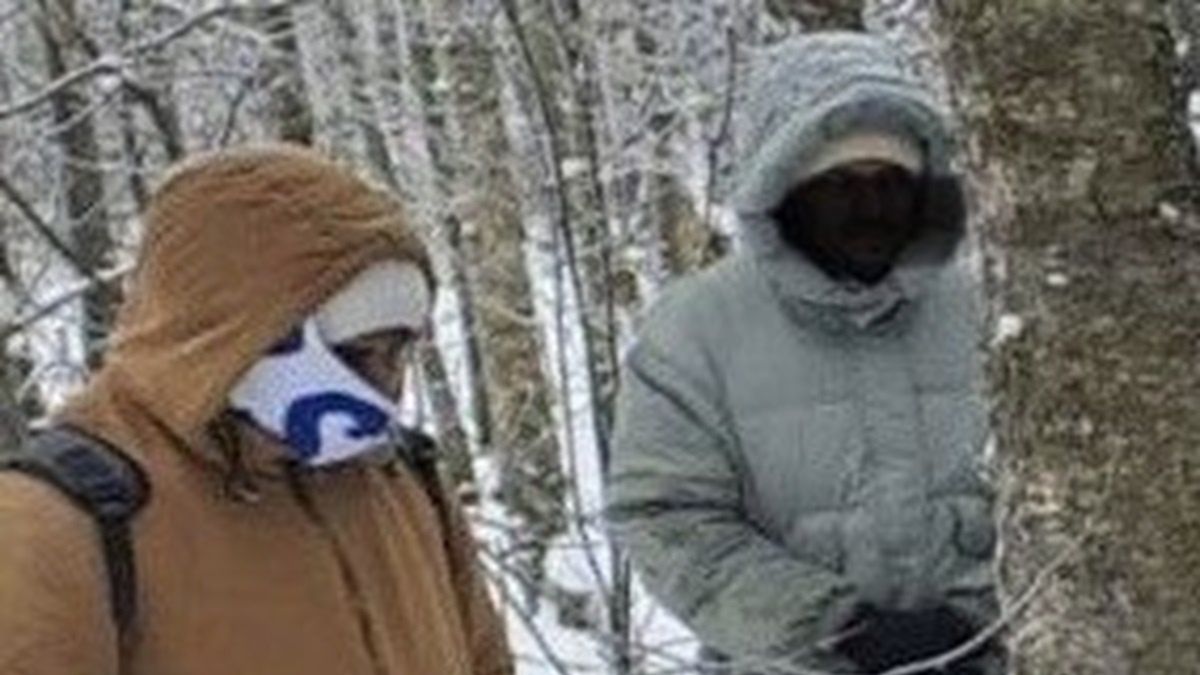 Straż Graniczna zatrzymała 12 cudzoziemców.