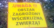 Wydano ostrzeżenia. Wścieklizna w jednym z województw