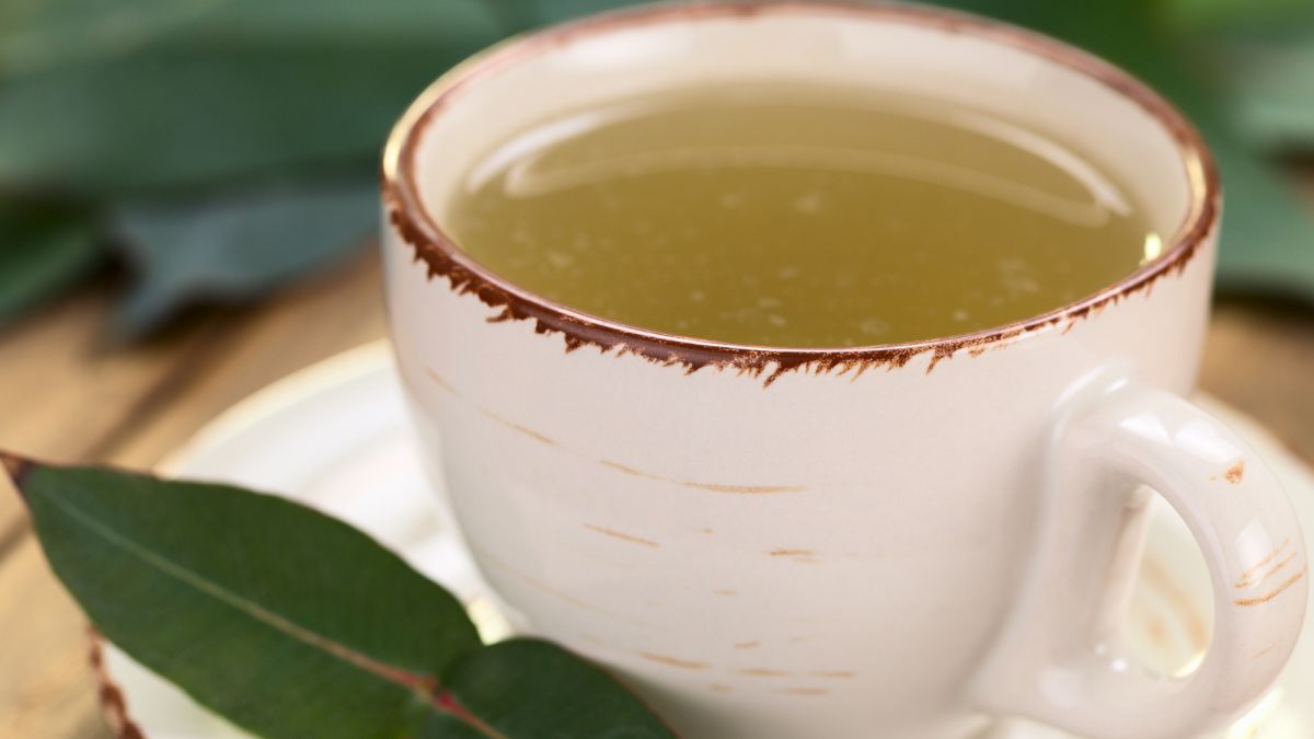 Zioła na kaszel. Czy są skuteczne?