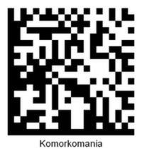 Koszulka prawdę Ci powie 2