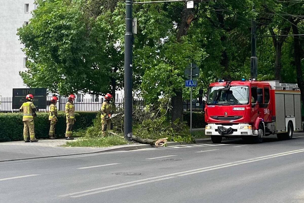 Konar spadł na chodnik na ul. Obywatelskiej