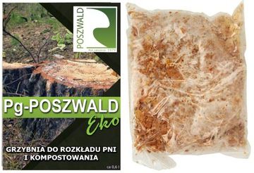 grzybnia do rozkładu pni drzew