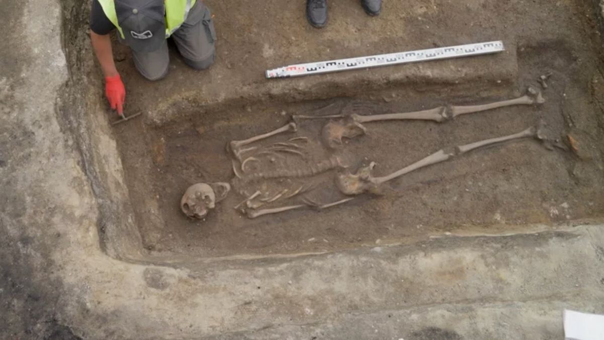 Gdański rycerz znaleziony pod lodziarnią