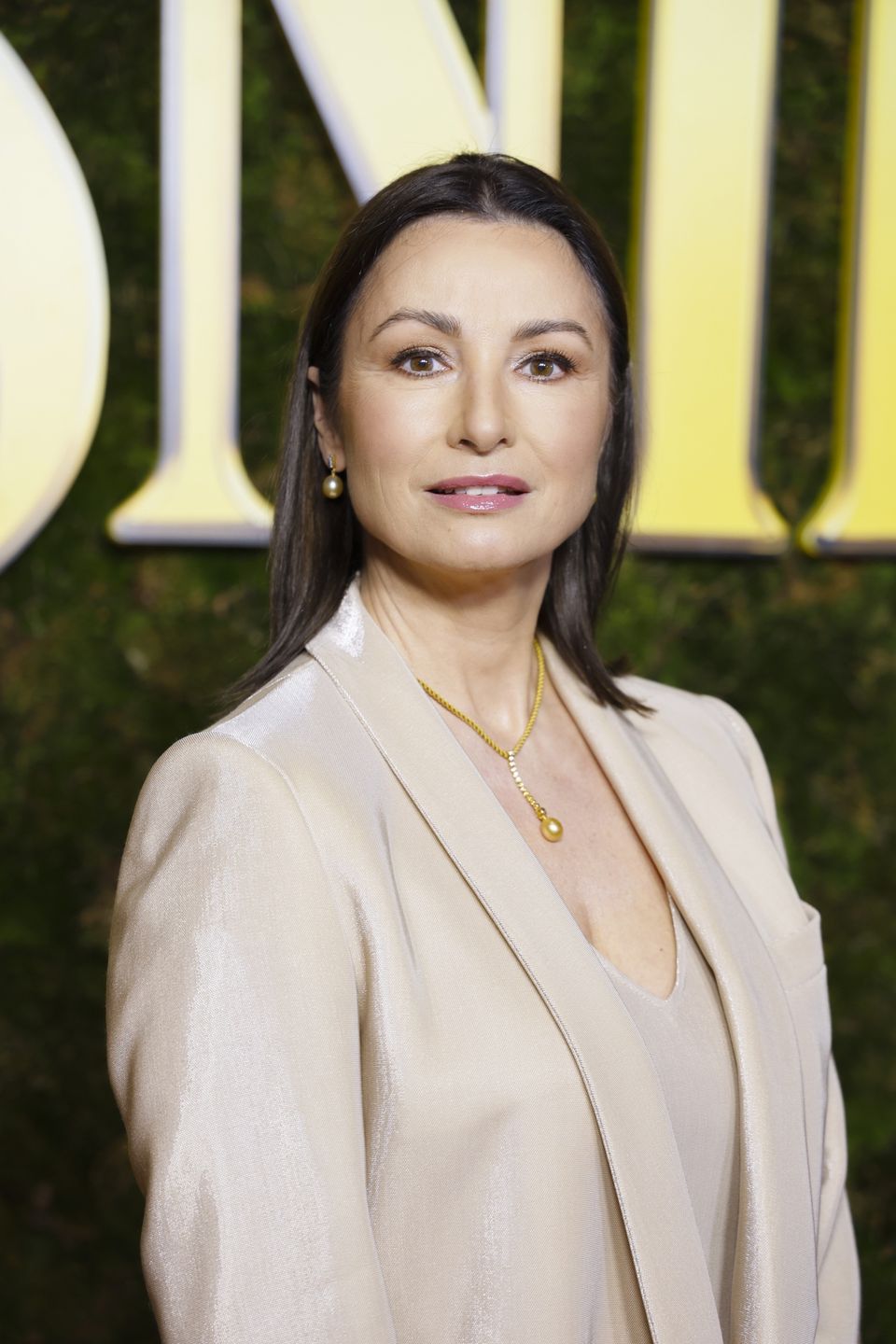 kobieta, film, makijaż wieczorowy, marzec 2025, Joanna Brodzik, premiera, Disney, portret