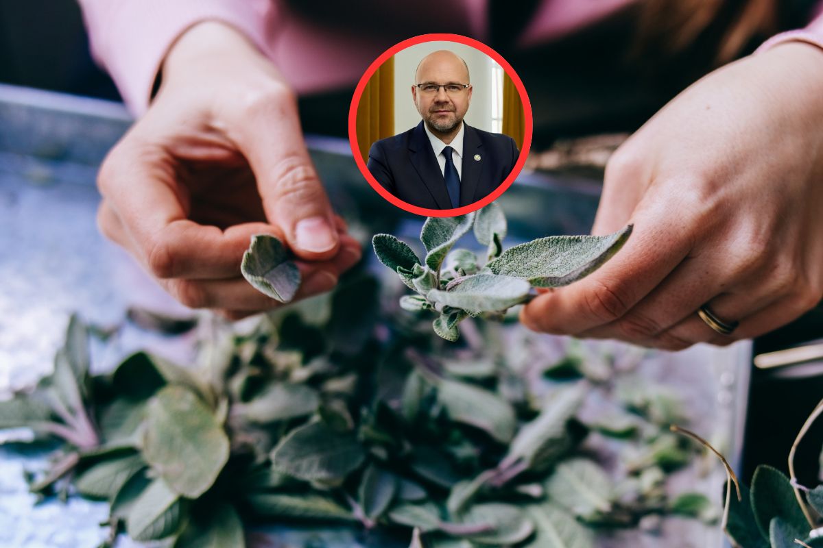 Co dalej z "lex szarlatan". Ustawa wywołuje spór o granice ochrony pacjentów