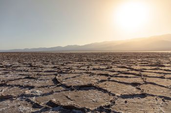 Po raz pierwszy od 10 lat. W Dolinie Śmierci zakwitły dywany kwiatów