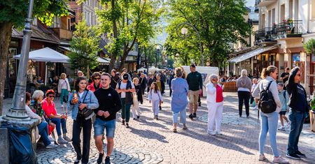 Nietypowy pomysł. Chcą "robokoni" i "robomisiów" w Zakopanem