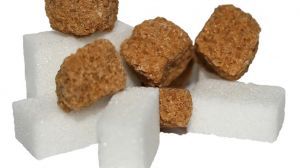 Cukierniczki zapełnione dzięki fotosyntezie 1