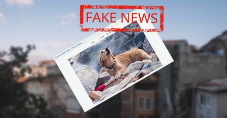 Zdjęcie "z Turcji" obiegło cały świat. Jest fake newsem, a to cała prawda