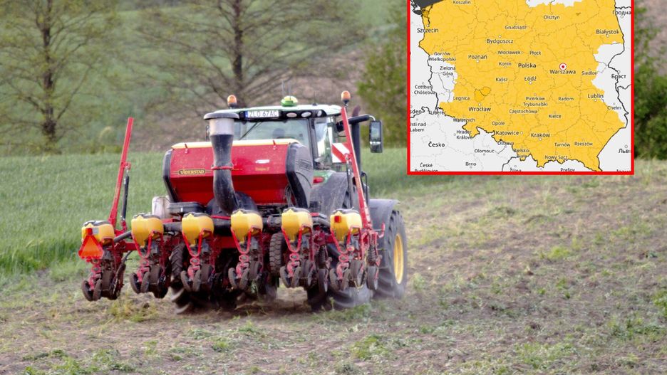 To może być kolejna trudna noc dla roślin