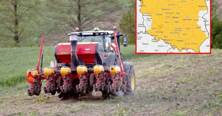 Plantatorzy drżą przed kolejną nocą. Te rośliny mogą ucierpieć najbardziej