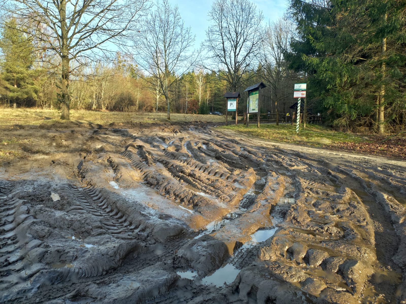Stan dróg w gminie Białowieża