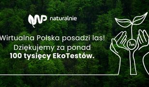 Wirtualna Polska posadzi las. Pochłonie 7 ton CO2