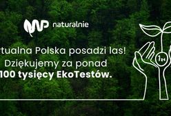 Wirtualna Polska posadzi las. Pochłonie 7 ton CO2