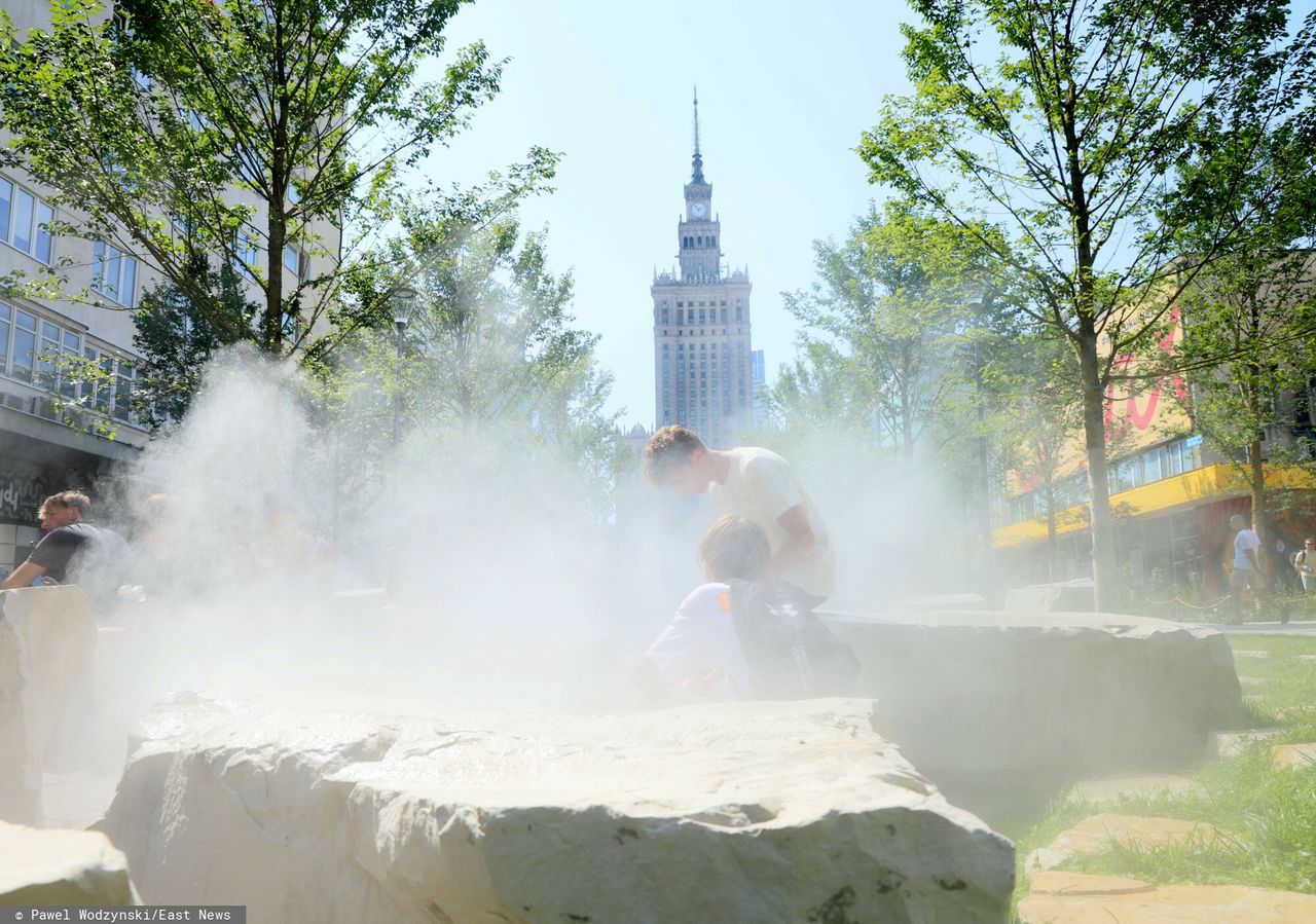 Wystawili Polsce rachunek za zmiany klimatu. Co najmniej 84 mld zł rocznie