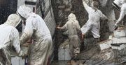 Dwa miliony pszczół na wolności! Ciężarówka z ulami przewróciła się w Teksasie